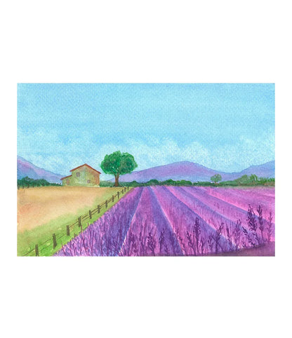 Lavender Fields