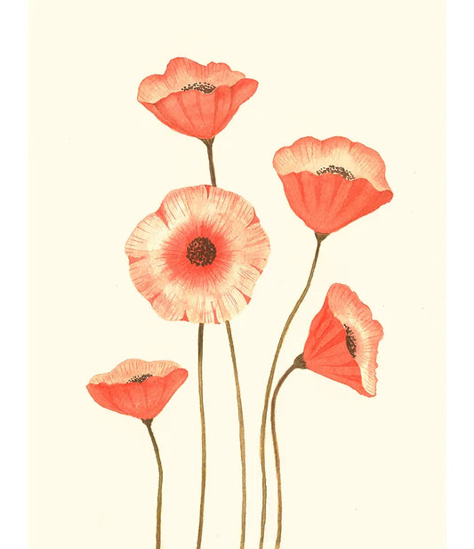 Poppies