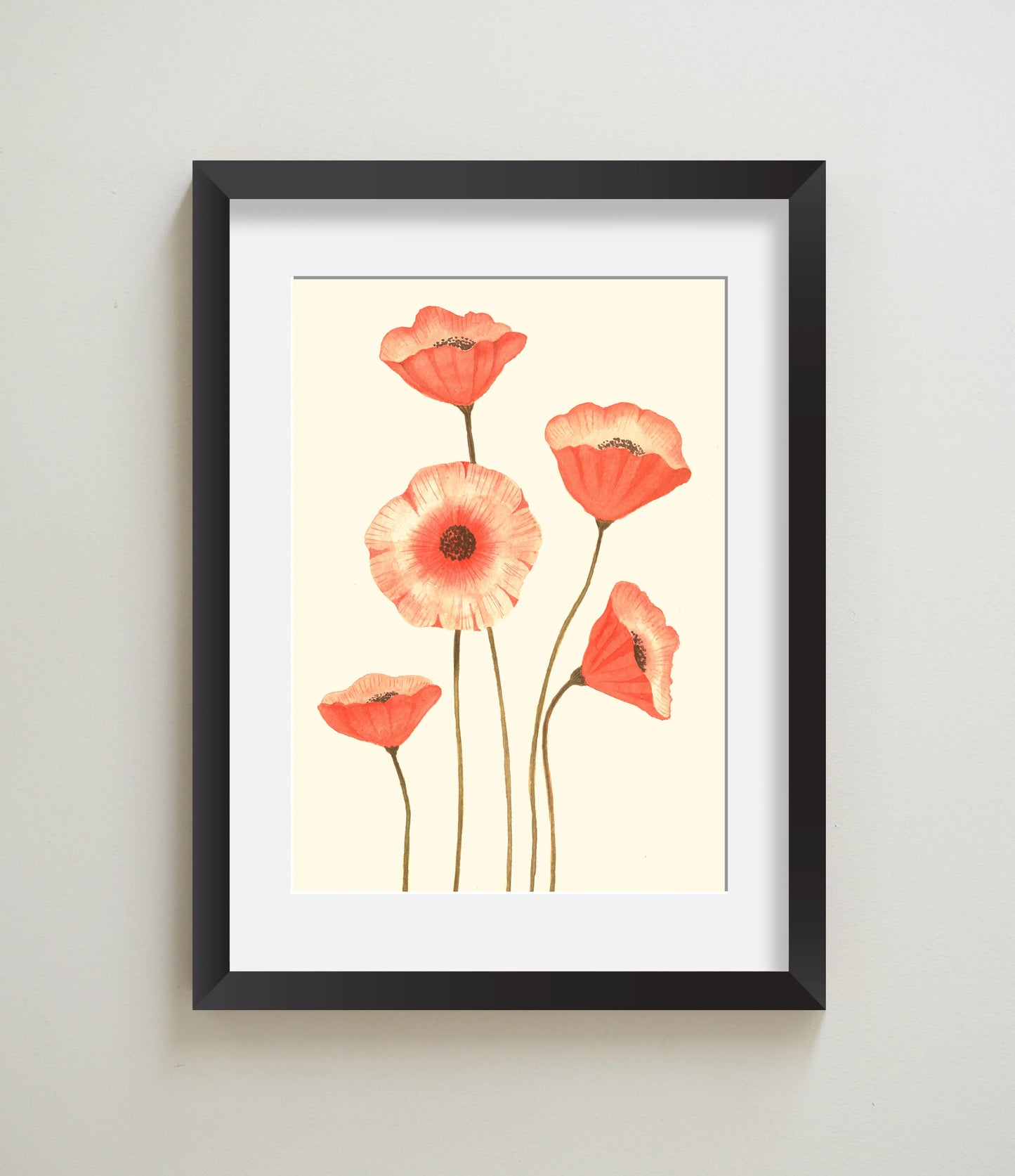 Poppies