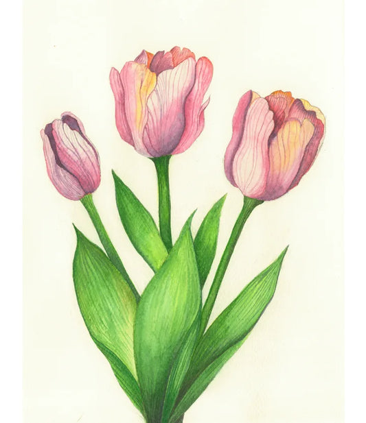 Tulips