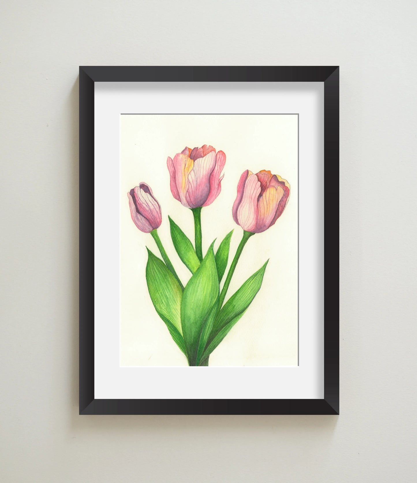 Tulips