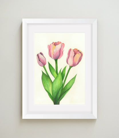 Tulips